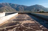 Th P S W 02 Th P S W 02