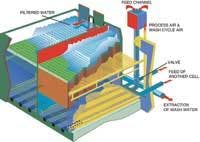 Th Plant 02 Th Plant 02