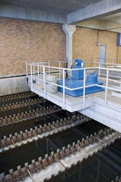 Th Plant 03 Th Plant 03