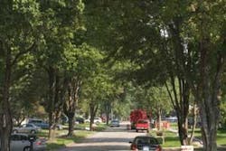 Th Trench 02 Th Trench 02