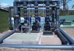 Th Valvesallow01 Th Valvesallow01