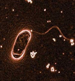 Th Water 04 Th Water 04