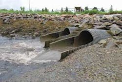 Th Will 01 Th Will 01