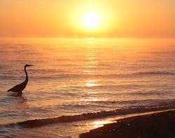 U M Water Center Awarded 20m Federal Contract To Help Lead National Estuary Research Program Orig 20140818 U M Water Center Awarded 20m Federal Contract To Help Lead National Estuary Research Program Orig 20140818