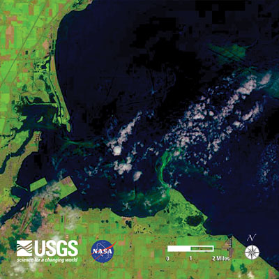 Washington Usgs Lake Erie Bloom 2014 Lc8 Aug1 Crop