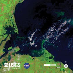 Washington Usgs Lake Erie Bloom 2014 Lc8 Aug1 Crop Washington Usgs Lake Erie Bloom 2014 Lc8 Aug1 Crop