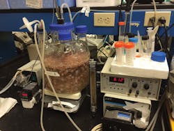 Wastewater Reuse 5 Img 0152 Wastewater Reuse 5 Img 0152