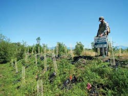 Water Quality Trading 2 1401ww Water Quality Trading 2 1401ww