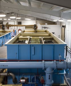 Westechtridenths Westechtridenths