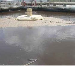 World Water World Water