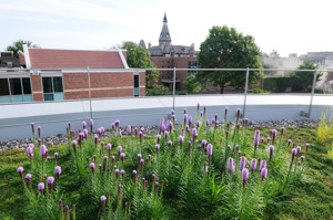 Green Roof Tops Off Anderson Center At Hamline University Waterworld