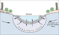 Ww Picture1 Ww Picture1