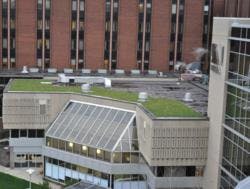 Ww Roofing Ww Roofing