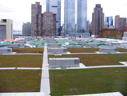 Ww Xero Flor Green Roof Xfa Javits 2 Sm Ww Xero Flor Green Roof Xfa Javits 2 Sm