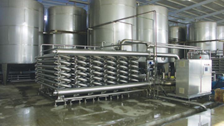 Xylem Raisin Plant