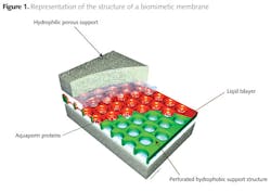 Z1206wwibd01 Z1206wwibd01