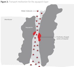 Z1206wwibd02 Z1206wwibd02