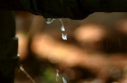 Content Dam Ww Online Articles 2016 01 Leak Content Dam Ww Online Articles 2016 01 Leak