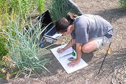 Sw Assessment300x200 Sw Assessment300x200