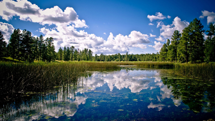 Content Dam Ww Online Articles 2016 02 Pinetop Az72dpi 500pxw