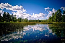 Content Dam Ww Online Articles 2016 02 Pinetop Az72dpi 500pxw Content Dam Ww Online Articles 2016 02 Pinetop Az72dpi 500pxw