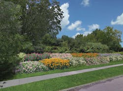 1601wwnws P01 1601wwnws P01