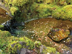 Content Dam Ww Print Articles 2016 03 Cvr F1 Content Dam Ww Print Articles 2016 03 Cvr F1