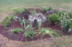 1604wwft1 P03 1604wwft1 P03