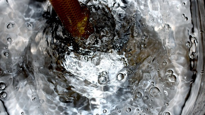 Content Dam Ww Online Articles 2016 04 Hose And Bubbles In Bucket