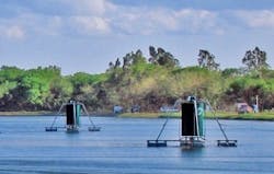 Content Dam Ww Online Articles 2016 04 Nwc Jamaica Content Dam Ww Online Articles 2016 04 Nwc Jamaica