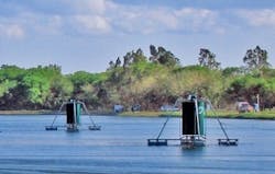 Content Dam Ww Online Articles 2016 04 Nwc Jamaica Content Dam Ww Online Articles 2016 04 Nwc Jamaica