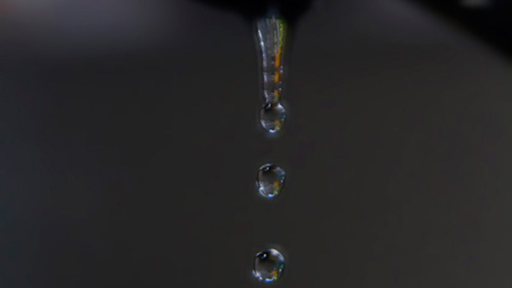 Content Dam Ww Online Articles 2016 04 Water Drops 1316333730iwi
