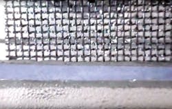 1605wwft1 P01 1605wwft1 P01