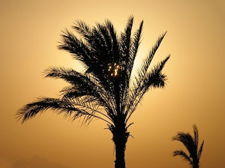 Content Dam Ww Online Articles 2016 05 Egypt