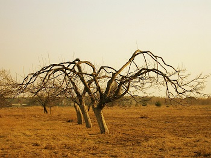 Content Dam Ww Online Articles 2016 05 Sa Drought