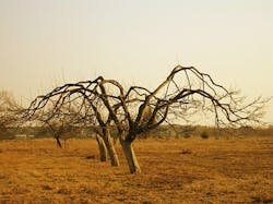 Content Dam Ww Online Articles 2016 05 Sa Drought Content Dam Ww Online Articles 2016 05 Sa Drought