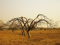 Content Dam Ww Online Articles 2016 05 Sa Drought Content Dam Ww Online Articles 2016 05 Sa Drought