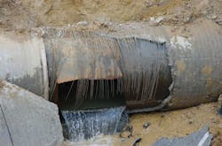 1601wwft1 P03 1601wwft1 P03