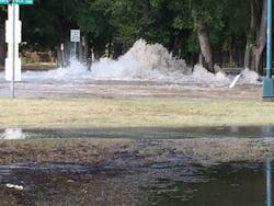 1606wwft1 P01 1606wwft1 P01