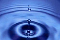 Content Dam Ww Online Articles 2016 06 4649690892 0d24ce7d8d B Content Dam Ww Online Articles 2016 06 4649690892 0d24ce7d8d B