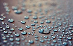 Content Dam Ww Online Articles 2016 06 Dew Rain Raindrops Drops Of Water