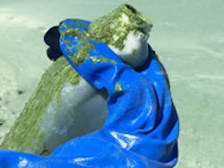 Content Dam Ww Online Articles 2016 07 Ww Newscast Story3 2016 Utah Lake Ab07 Full Credit Utah Deq 200x150 Content Dam Ww Online Articles 2016 07 Ww Newscast Story3 2016 Utah Lake Ab07 Full Credit Utah Deq 200x150