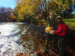 Pic 1 Ee6ef3c9e28a8b0cb3fdf1b82b20fd5e Pic 1 Ee6ef3c9e28a8b0cb3fdf1b82b20fd5e