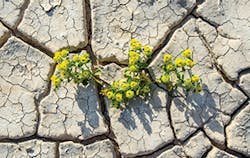 We1607 8 2 We1607 8 2