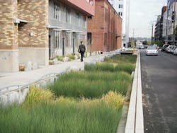 1608wwft1 P04 Swale On Yale 1608wwft1 P04 Swale On Yale