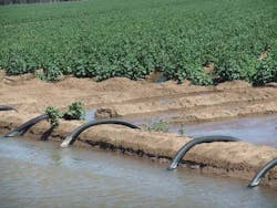 Content Dam Ww Online Articles 2016 08 Channel Irrigation Of Cotton Crops Warren Content Dam Ww Online Articles 2016 08 Channel Irrigation Of Cotton Crops Warren