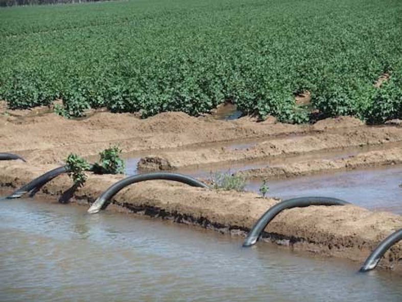 Content Dam Ww Online Articles 2016 08 Channel Irrigation Of Cotton Crops Warren