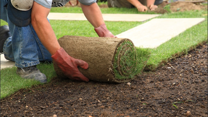 Content Dam Ww Online Articles 2016 08 Turf Removal