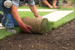 Content Dam Ww Online Articles 2016 08 Turf Removal Content Dam Ww Online Articles 2016 08 Turf Removal