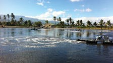 Content Dam Ww Print Articles 2016 08 1608wwps2 P01 Reunionisl Lagoon Content Dam Ww Print Articles 2016 08 1608wwps2 P01 Reunionisl Lagoon